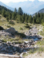 Vue sur le bois des Ayes