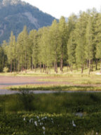 Lac de Roue